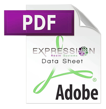 expression datasheet icon